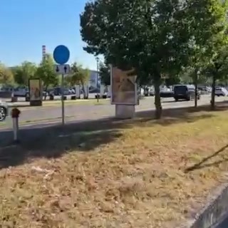 又换新项目了！东契奇带领队友们前往郊区进行保龄球对决